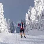 Rezidence Abertamy